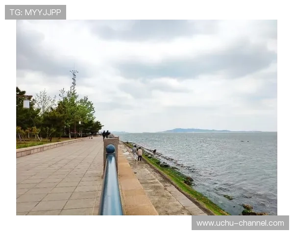 开云真人app官方版入口官方最新版本,确保玩家安全畅玩无忧