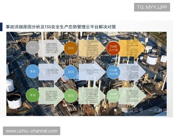 深入分析云开平台网页版的安全性与稳定性